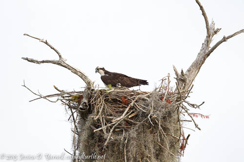 Mom and Baby