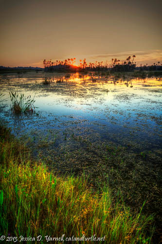 Sunrise at Orlando Wetlands_Orlando Wetlands Park_201310271_copyrightJessYarnell