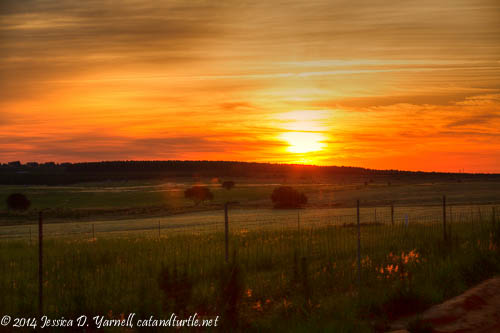 Sunrise Over the Grasslands