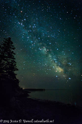 The Milky Way - Mount Desert Island