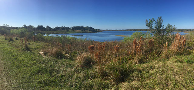 Marshall Hampton Reserve Lake